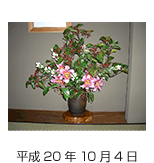 玄関の花 平成20年10月4日