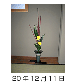 玄関の花 平成20年12月11日