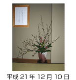 玄関の花 平成21年12月10日